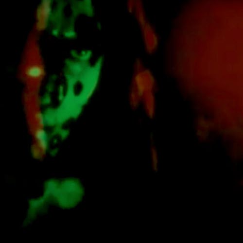 Exit Electronics - I'm Your Beggar (2026)