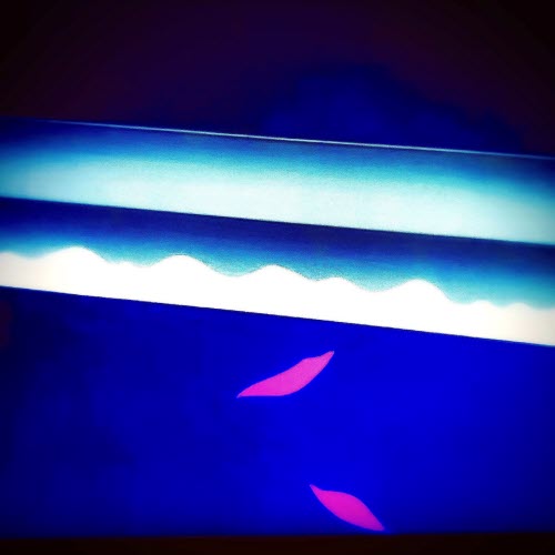Fernand - Nuncacambies (2026)