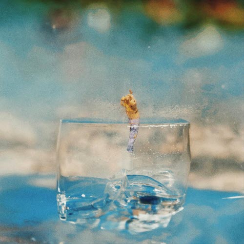 Cubzoa - Cubzoa Vs Icebeing (2026) [EP]