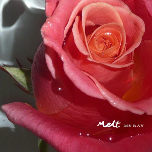 Ms Ray - Melt (2026) [EP]