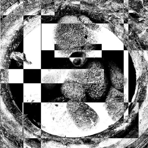 Caustic - Rhythm Is A Cancer (Snowbeasts Remix) (2026) [Single]