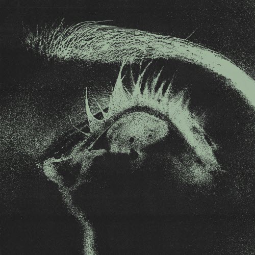 Draining - Mourn (2026) [Single]
