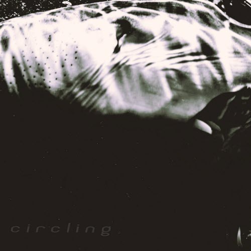 Who Saw Her Die? - Circling (2026) [EP]