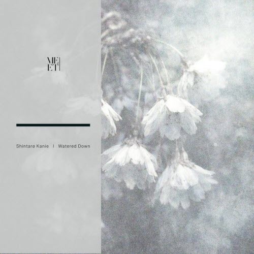 Shintarø Kanie - Watered Down (2026) [EP]