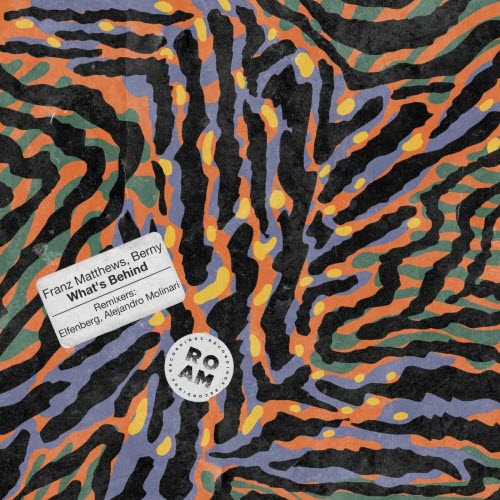 Franz Matthews - What's Behind (2023) [EP]