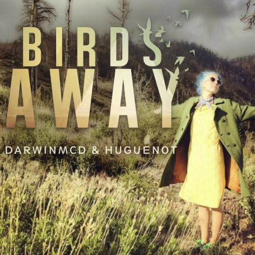 Darwinmcd & Huguenot - Birds Away (2026) [Single]