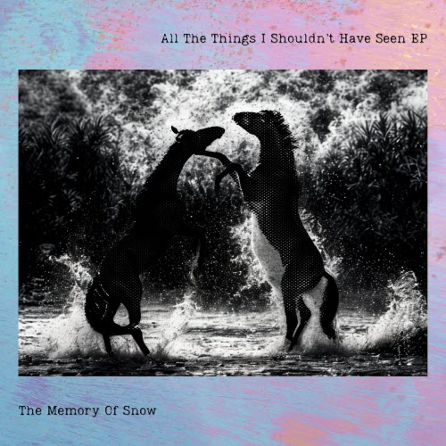 The Memory Of Snow - All The Things I Shouldn't Have Seen (2026) [EP]