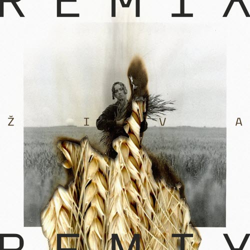 Živa - Živa (Remix) (2024) [Single]