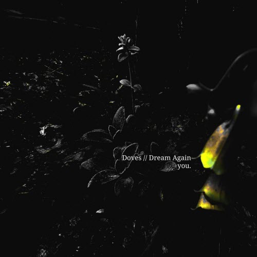 you. - Doves / Dream Again (2023) [Single]