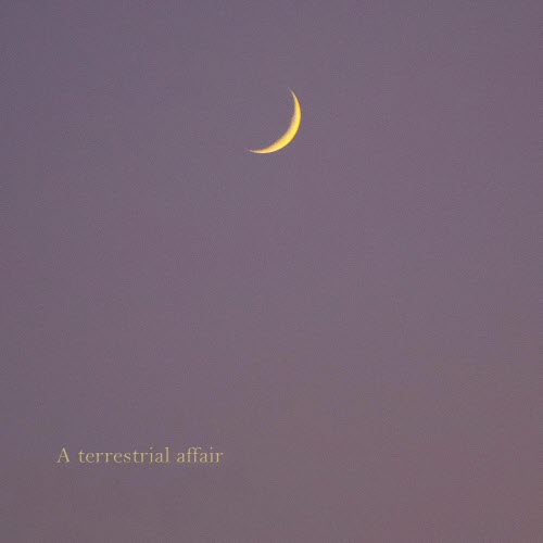 Bonggita - A Terrestrial Affair (2019)