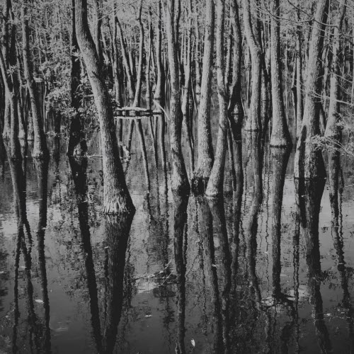 Bonggita - Restore (2026)