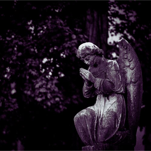 Acid Fader - Devotion (2026) [Single]
