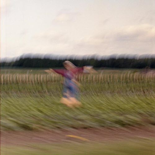 Solitary Dancer - Reveries Of A Solitary Dancer (2020) [EP]