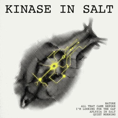 Starfall - Kinase In Salt (2026) [EP]