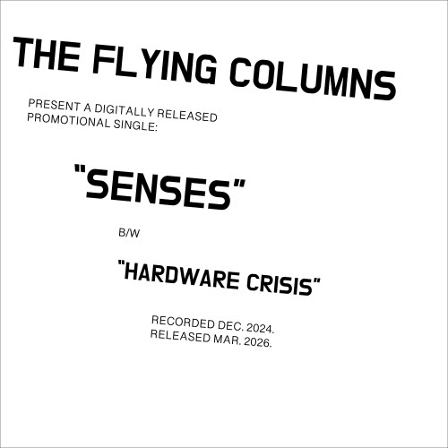The Flying Columns - Senses (2026) [Single]