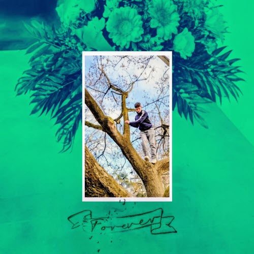 Fir Cone Children - Forever (2026) [Single]