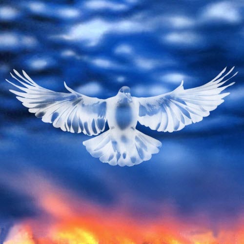 FaltyDL - Mission Barnhus (2026) [Single]