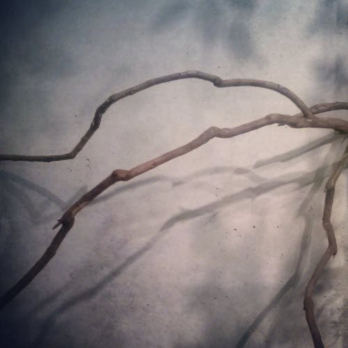 Zeti - Light & Shadow (2015) [Single]