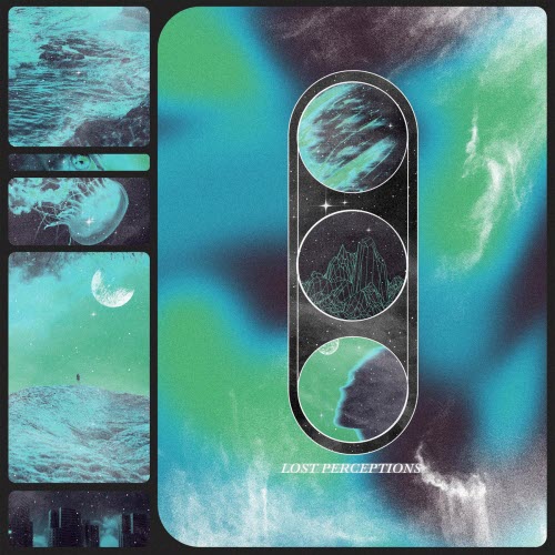 Mellow Fields - Lost Perceptions (2026) [Single]