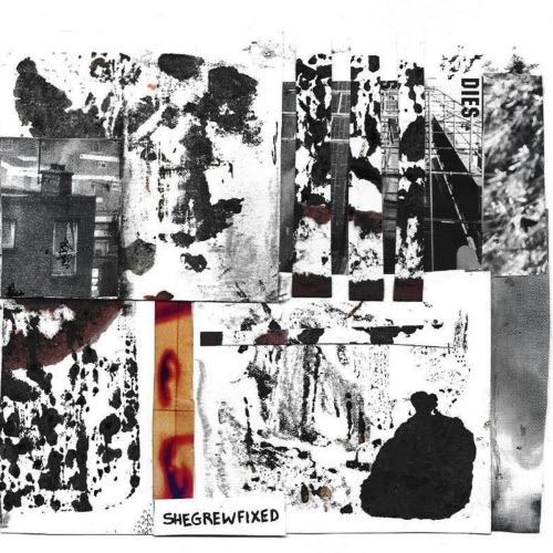 SHEGREWFIXED - Under Pressure (2026) [Single]