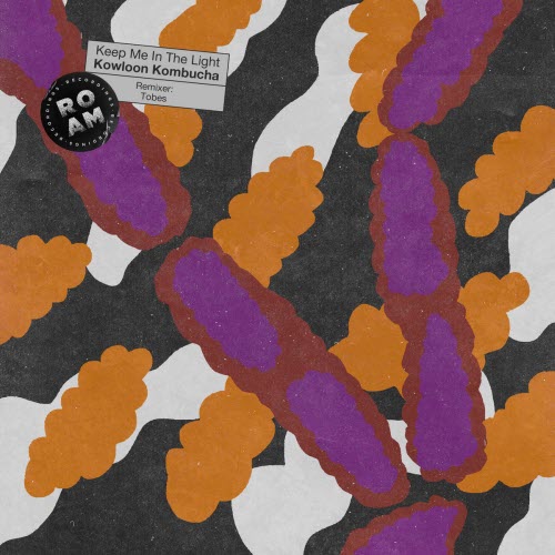 Keep Me In The Light - Kowloon Kombucha (2026) [EP]