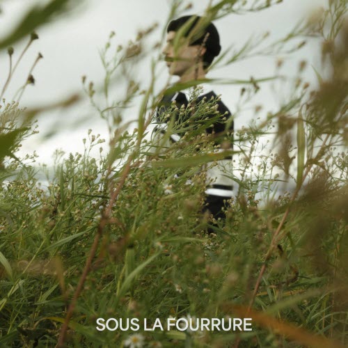 David Emme - Sous La Fourrure (2023) [Single]
