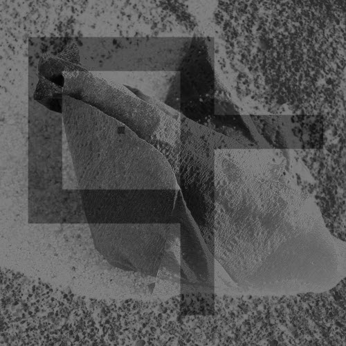 Decline And Fall - Everywhere Is Nowhere (2026) [Single]