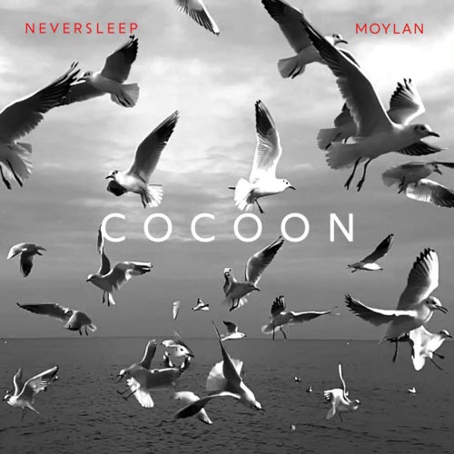 Neversleep - Cocoon (2023) [Single]