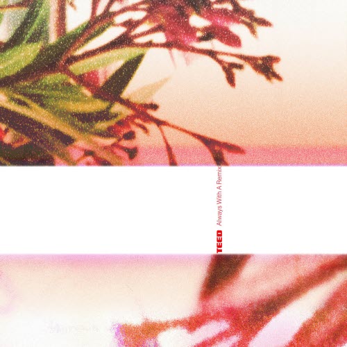 TEED - Always With A Remix (2026) [2CD]