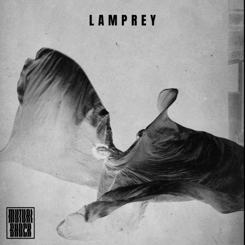 Mutual Shock - Lamprey (2026) [Single]