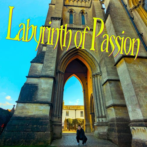 Nicolas Rixon - Labyrinth Of Passion (2026) [Single]