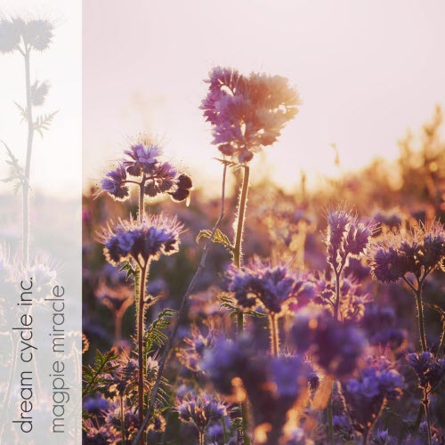 Dream Cycle Inc. - Magpie Miracle (2026) [Single]