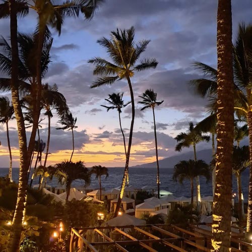 Vector Hold - Sunshine (2026) [Single]