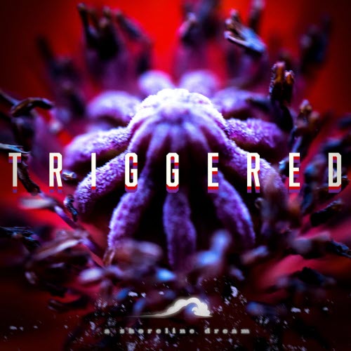 A Shoreline Dream - Triggered (2026) [Single]