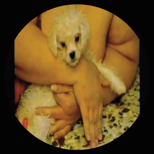 ANFS - Tzina's House (2017) [EP]
