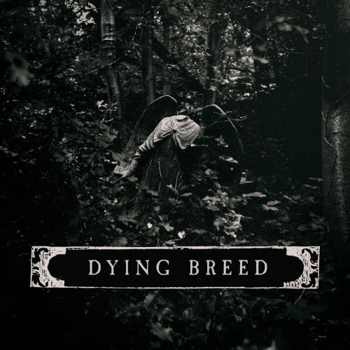 Malice In Wonderland - Dying Breed (2026) [Single]