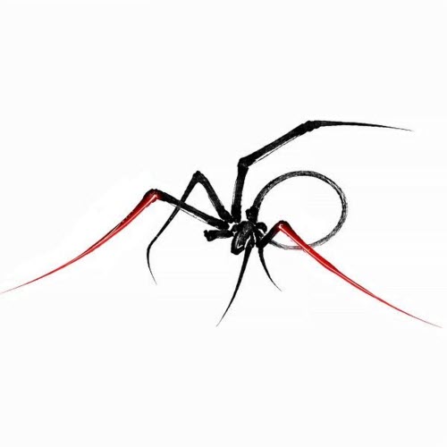 XPQ-21 - Little Spider (2026) [EP]