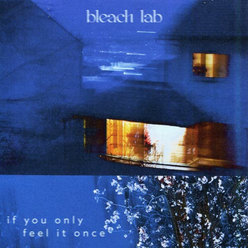 Bleach Lab - If You Only Feel It Once (2022) [EP]