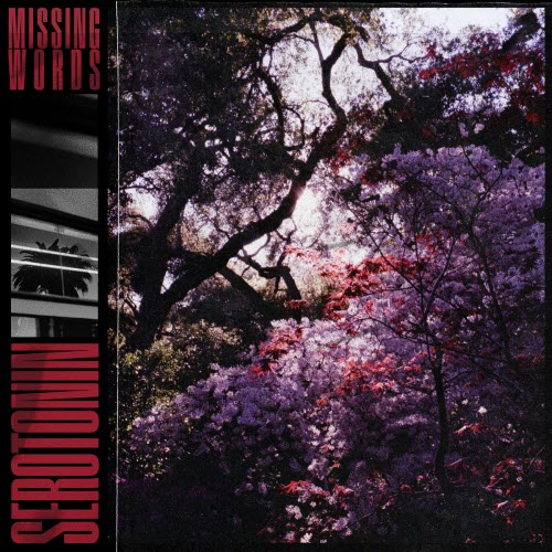 Missing Words - Serotonin (2026) [Single]