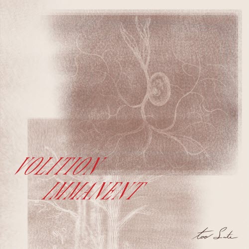 Volition Immanent - Safe = Unsafe (2026) [Single]