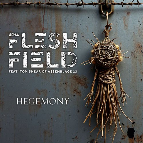 Flesh Field - Hegemony (2026) [Single]