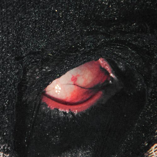 Deus Deus O! - Боже Боже О! (2025) [Single]