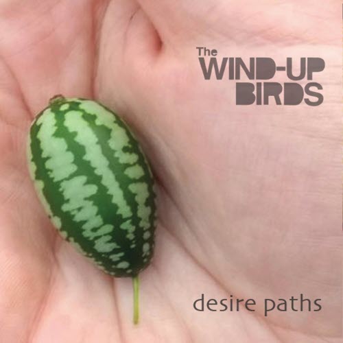 The Wind-Up Birds - Desire Paths (2018)