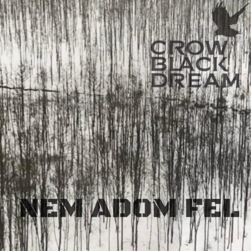 Crow Black Dream - Nem Adom Fel (2026) [Single]
