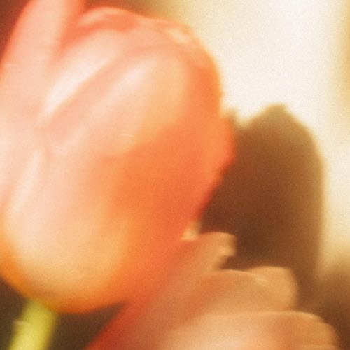 Copperplate - Time Lapse (2026) [Single]
