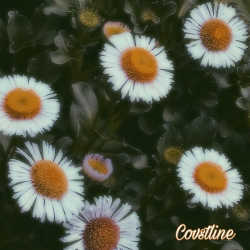 Covstline - Indie Girl (Alternate Versions) (2026) [Single]
