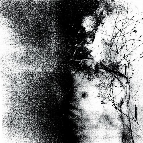 Desolation Colony - A Rapture Of Blooming Revenge (2025)