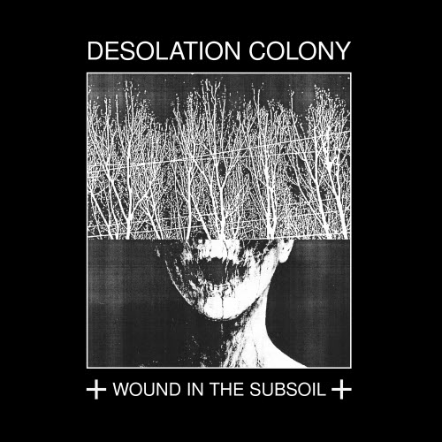 Desolation Colony - Wound In The Subsoil (2026)