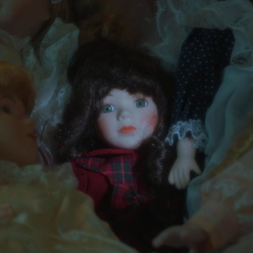 House Of Serpents - Black Rose (2026) [Single]