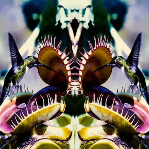 The Mirrors - Ambrosia (2026) [EP]